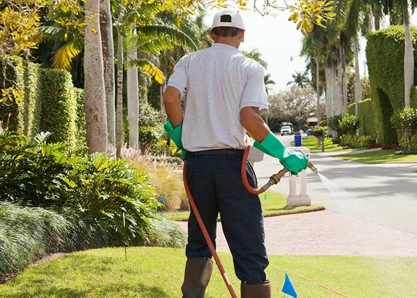 About Middletown Springs VT Pest Control Pros
